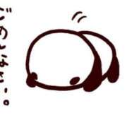 ヒメ日記 2025/12/26 16:16 投稿 あまね エアポート