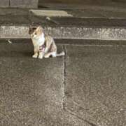 ヒメ日記 2026/08/11 10:53 投稿 あまね エアポート