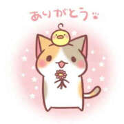 ヒメ日記 2025/05/04 20:37 投稿 まも 土浦ハッピーマットパラダイス