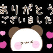 ヒメ日記 2025/06/10 12:57 投稿 まも 土浦ハッピーマットパラダイス