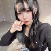 ヒメ日記 2025/04/08 17:01 投稿 ミケ エピソード(品川)