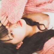 ヒメ日記 2025/04/17 16:16 投稿 ミケ エピソード(品川)