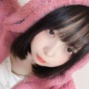 ヒメ日記 2025/07/04 13:46 投稿 ミケ エピソード(品川)