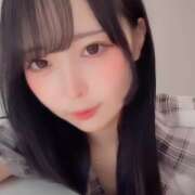 ヒメ日記 2025/08/07 14:46 投稿 ミケ エピソード(品川)