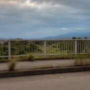 ヒメ日記 2025/09/20 14:46 投稿 ミケ エピソード(品川)