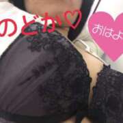 ヒメ日記 2025/06/08 10:30 投稿 雪平のどか 恋する奥さん 西中島店