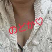 ヒメ日記 2026/02/11 13:46 投稿 雪平のどか 恋する奥さん 西中島店