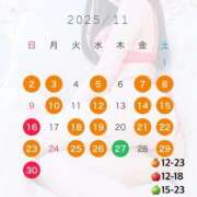 ヒメ日記 2025/11/11 11:12 投稿 るな the SPA KADOEBI