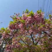 ヒメ日記 2025/04/19 19:15 投稿 富永　あやか 極みSPAネクサス東海(旧イマジン名古屋)