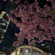 聖來(せいら) 本日‎🤍 グランドオペラ東京