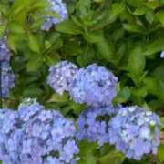 ヒメ日記 2026/06/29 13:56 投稿 聖來(せいら) グランドオペラ東京