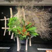 ヒメ日記 2026/09/01 20:56 投稿 聖來(せいら) グランドオペラ東京