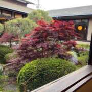 ヒメ日記 2026/09/12 21:36 投稿 聖來(せいら) グランドオペラ東京