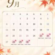 ヒメ日記 2026/09/23 08:46 投稿 聖來(せいら) グランドオペラ東京