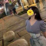 ヒメ日記 2026/10/08 20:26 投稿 聖來(せいら) グランドオペラ東京