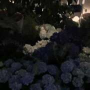 ヒメ日記 2026/10/09 20:57 投稿 聖來(せいら) グランドオペラ東京