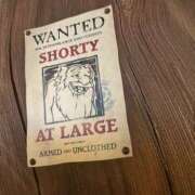 ヒメ日記 2025/04/25 21:47 投稿 あるる 上野ハンドメイド