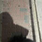 ヒメ日記 2025/05/09 18:24 投稿 あるる 上野ハンドメイド