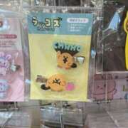 ヒメ日記 2025/08/23 16:19 投稿 あるる 上野ハンドメイド