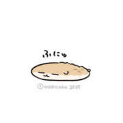 ヒメ日記 2025/08/25 14:51 投稿 あるる 上野ハンドメイド