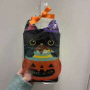 ヒメ日記 2025/11/01 21:32 投稿 あるる 上野ハンドメイド