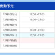 ヒメ日記 2025/12/02 18:37 投稿 あるる 上野ハンドメイド
