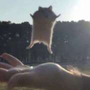 ヒメ日記 2026/02/04 19:15 投稿 あるる 上野ハンドメイド