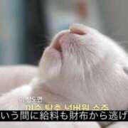 あるる 爆抜き 上野ハンドメイド