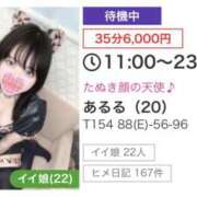 ヒメ日記 2026/08/30 11:51 投稿 あるる 上野ハンドメイド