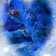 ヒメ日記 2025/04/25 14:31 投稿 早乙女しおり ABC 岩手ソープ