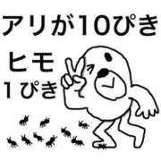 ヒメ日記 2025/10/05 15:46 投稿 早乙女しおり ABC 岩手ソープ