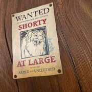 ヒメ日記 2025/04/25 21:52 投稿 あるる 神田ハンドメイド