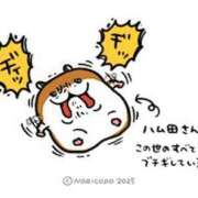 ヒメ日記 2025/07/26 18:48 投稿 あるる 神田ハンドメイド