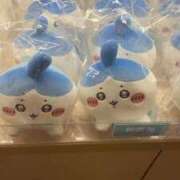 ヒメ日記 2025/08/25 19:57 投稿 あるる 神田ハンドメイド