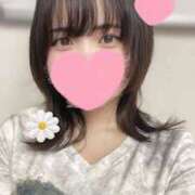 ヒメ日記 2025/11/26 17:05 投稿 あるる 神田ハンドメイド