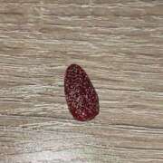 あるる がち悲報 神田ハンドメイド