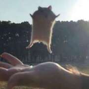 ヒメ日記 2026/02/04 19:19 投稿 あるる 神田ハンドメイド