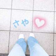 ヒメ日記 2025/04/16 16:36 投稿 さや 横浜ひよこ倶楽部