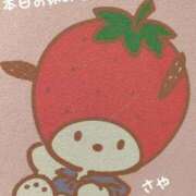 ヒメ日記 2025/04/20 09:36 投稿 さや 横浜ひよこ倶楽部