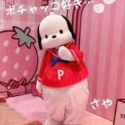 ヒメ日記 2025/04/20 19:06 投稿 さや 横浜ひよこ倶楽部