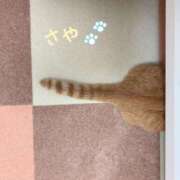 ヒメ日記 2025/04/28 22:56 投稿 さや 横浜ひよこ倶楽部