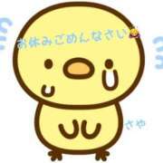 ヒメ日記 2025/05/02 09:36 投稿 さや 横浜ひよこ倶楽部