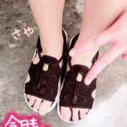 ヒメ日記 2025/05/07 14:16 投稿 さや 横浜ひよこ倶楽部