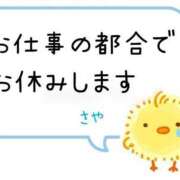 ヒメ日記 2025/05/12 16:46 投稿 さや 横浜ひよこ倶楽部