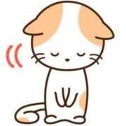 ヒメ日記 2026/01/18 09:55 投稿 石川　なおみ しこたま奥様 札幌店