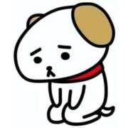 ヒメ日記 2026/02/12 09:46 投稿 石川　なおみ しこたま奥様 札幌店