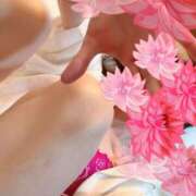 ヒメ日記 2025/04/12 09:47 投稿 下條樹 五十路マダム 博多店