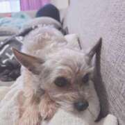 ヒメ日記 2025/05/01 15:09 投稿 あき【谷間に夢中、笑顔に沼る♡】 LIPS(リップス)