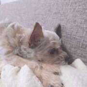 ヒメ日記 2025/06/05 02:22 投稿 あき【谷間に夢中、笑顔に沼る♡】 LIPS(リップス)