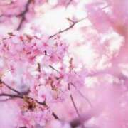 ヒメ日記 2025/04/22 18:46 投稿 滝口紗世 五十路マダム 仙台店